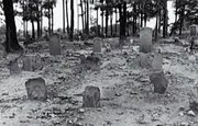 The Haunting of 803 Poppets Way: Unveiling the Ghostly Echoes of the Black Hope Cemetery